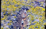 Lors de la la 9ème édition du Grand raid  qui a eu lieu les 19, 20 et 21 octobre 2001