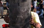 Lors de la 6ème édition concours de grimper de cocotiers  en août 2001 à Saint-Paul