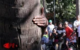 Lors de la 6ème édition concours de grimper de cocotiers  en août 2001 à Saint-Paul