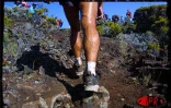 2 758 concurrents ont participé à la 9ème édition du Grand raid les 19, 20 et 21 octobre 2001.