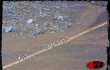 2 758 concurrents ont participé à la 9ème édition du Grand raid les 19, 20 et 21 octobre 2001. Longue de 125 km, cette course de montagne rallie Langevin Saint-Joseph (Sud) à Saint-Denis (Nord)
