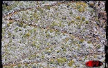 2 758 concurrents ont participé à la 9ème édition du Grand raid les 19, 20 et 21 octobre 2001. Longue de 125 km, cette course de montagne rallie Langevin Saint-Joseph (Sud) à Saint-Denis (Nord)
