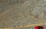 Image du Grand Raid 2005