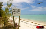 L'île aux cocos (Maurice), accueille plusieurs espèces d'oiseaux protégés (sterne, fous de bassans, frégatge, oiseaux la vierge...)