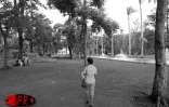 Le jardin de l'État à Saint-Denis (Nord) a rouvert ses portes le mercredi 10 avril 2002. Ravagé par le cyclone Dina, il était fermé depuis trois mois.