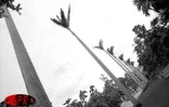 Le jardin de l'État à Saint-Denis (Nord) a rouvert ses portes le mercredi 10 avril 2002. Ravagé par le cyclone Dina, il était fermé depuis trois mois.