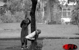 Le jardin de l'État à Saint-Denis (Nord) a rouvert ses portes le mercredi 10 avril 2002. Ravagé par le cyclone Dina, il était fermé depuis trois mois.