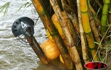 La pratique du kayak polo se développe à La Réunion