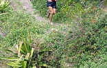 Grand Raid 2003

Image de course à Kerveguen, à Cilaos et à Marla