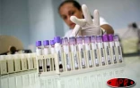 Le laboratoire de biologie du CHD de Bellepierre (Saint-Denis)