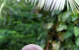 Le Premier ministre Lionel Jospin était en visite officielle à La Réunion du jeudi 25 janvier au samedi 27 janvier 2001