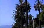 Los Angeles, la capitale mondiale du cinéma compte parmi les destinations &quot;long-courrier&quot; accessibles à partir de La Réunion (avec escale à Paris) sur les vols Air France