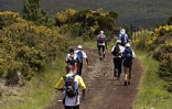 Grand Raid 2003

Image de course