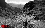 Mafate, c'est l'aventure de La Réunion authentique. La rencontre de gens simples à l'histoire rude aimant partager leur quotidien avec les gens de passages
