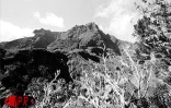 Mafate, c'est l'aventure de La Réunion authentique. La rencontre de gens simples à l'histoire rude aimant partager leur quotidien avec les gens de passages