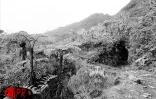 Mafate, c'est l'aventure de La Réunion authentique. La rencontre de gens simples à l'histoire rude aimant partager leur quotidien avec les gens de passages