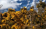 Samedi 2 août 2003
Le Piton des Neiges sous un tapis de neige vu du Maïdo
Photo Nicolas Villeneuve