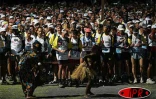 Vendredi 22 octobre 2004

Les &quot;fous&quot; ont pris le départ du Grand raid à 4 heures du matin au Cap Méchant
