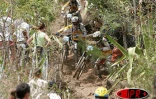 Dimanche 20 novembre 2005 -

 La 11ème édition de la Mégavalanche a eu lieu entre le Maïdo et Savannah (Saint-Paul)