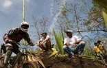 La 12ème édition de la Mégavalanche 2006 a eu lieu les samedi 2 et dimanche 3 décembre entre le Maïdo et Savannah (Ouest)