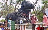 Images du Tamil Nadu, une province indienne dont sont originaires les ancêtres d'une bonne partie de la population réunionnaise