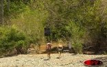 Depuis six ans, l'îlot Mbouzi au large de Mayotte est devenu un dispensaire qui  accueille, réconforte et soigne des makis, ces petits lémuriens au regard émouvant d'humanité
