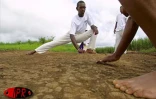 Depuis quelques années, le moringue s'est imposé auprès des jeunes. Cet art de combat venu d'Afrique s'est transformé en activité sportive où la danse prend le pas sur la lutte guerrière