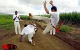Depuis quelques années, le moringue s'est imposé auprès des jeunes. Cet art de combat venu d'Afrique s'est transformé en activité sportive où la danse prend le pas sur la lutte guerrière