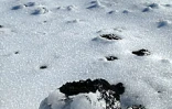 Dimanche 3 août 2003
Spectacle exceptionnel du volcan et du Piton des Neiges sous la neige glacée