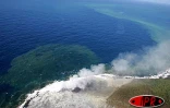 Mardi 31 août 2004 - 

Un cône éruptif a surgi en bord de mer