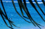 Image de plage réunionnaise en plein hiver austral