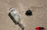 Lundi 25 septembre 2006 -

Malgré la présence de poubelles et un ramassage quotidien des déchets, des immondices défigurent les paysages de l'Ouest