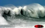 Dimanche 7 mars 2004
Dans le sillage du cyclone intense Gafilo, une houle importante déferle sur la côte Ouest , au Port notamment