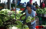 Image volée aux étalages du Petit Marché de Saint-Denis