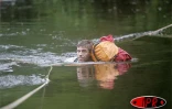 Mardi 17 mai 2005 

C'est sous la pluie que les concurrents ont bouclé le 4ème jour du Raid Réunion d'Aventures