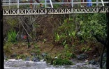 Le cyclone tropical Ando, qui a frôlé La Réunion le samedi 6 janvier 2001, a amené de fortes précipitations dans son sillage