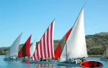 Juillet 2006 -
La régate est une tradition bien ancrée à Rodrigues -
Photo Luc Gigant
