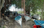 Juillet 2006 - Rodrigues
Les barques de pêches vont être préparées pour la régate -
Photo Luc Gigant