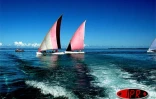 Juillet 2006 -
La régate est une tradition bien ancrée à Rodrigues -
Photo Luc Gigant