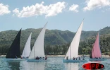 Juillet 2006 -
La régate est une tradition bien ancrée à Rodrigues -
Photo Luc Gigant