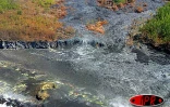 Lundi 6 septembre 2004
La rencontre de l'eau et du feu a donné naissance à une plateforme et à 3 cônes volcaniques en bord de mer