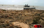Jeudi 11 mars 2004
Gafilo a sinistré la région d'Antalaha dans le Nord - Est de Madagascar
