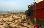 Jeudi 11 mars 2004
Gafilo a sinistré la région d'Antalaha dans le Nord - Est de Madagascar