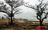 Jeudi 11 mars 2004
Gafilo a sinistré la région d'Antalaha dans le Nord - Est de Madagascar