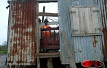 Jeudi 11 mars 2004
Gafilo a sinistré la région d'Antalaha dans le Nord - Est de Madagascar