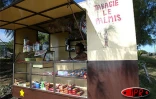Débit de boissons et de cigarettes dans la région de Pointe Mourouk à Rodrigues