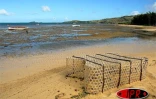Image de Rodrigues - Photo Luc Gigant