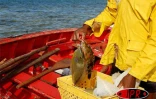 Image de Rodrigues - Photo Luc Gigant