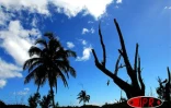 Image de Rodrigues - Photo Luc Gigant