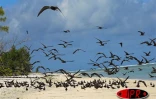 Image de Rodrigues - Photo Luc Gigant
